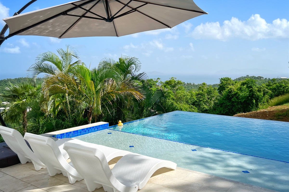 The infinity edge pool with splash deck will be the hang out spot.