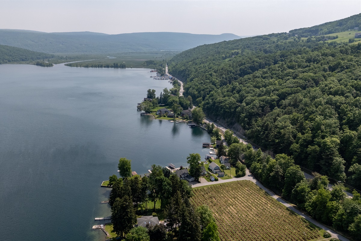 An expansive panoramic of the Finger Lakes—rolling hills, forest-lined shores, and tranquil waters highlight the unmatched natural beauty of this destination.
