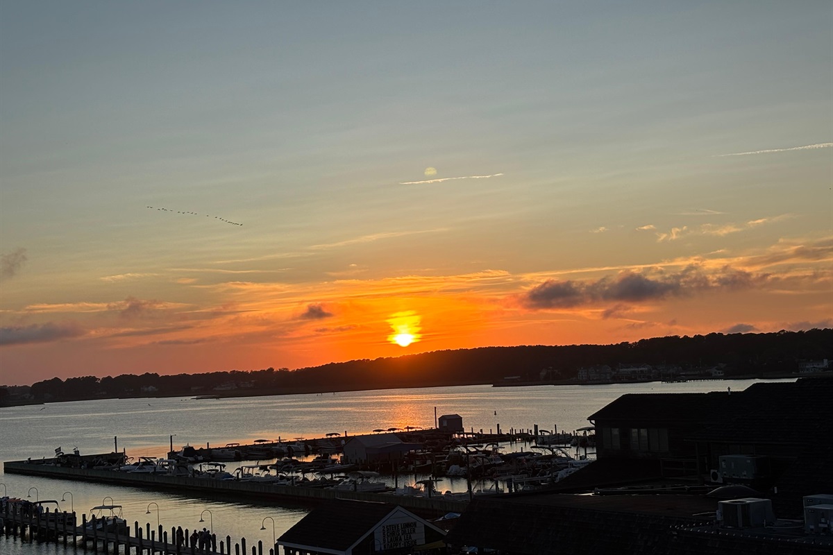 Terry S., Jul 12, 2025