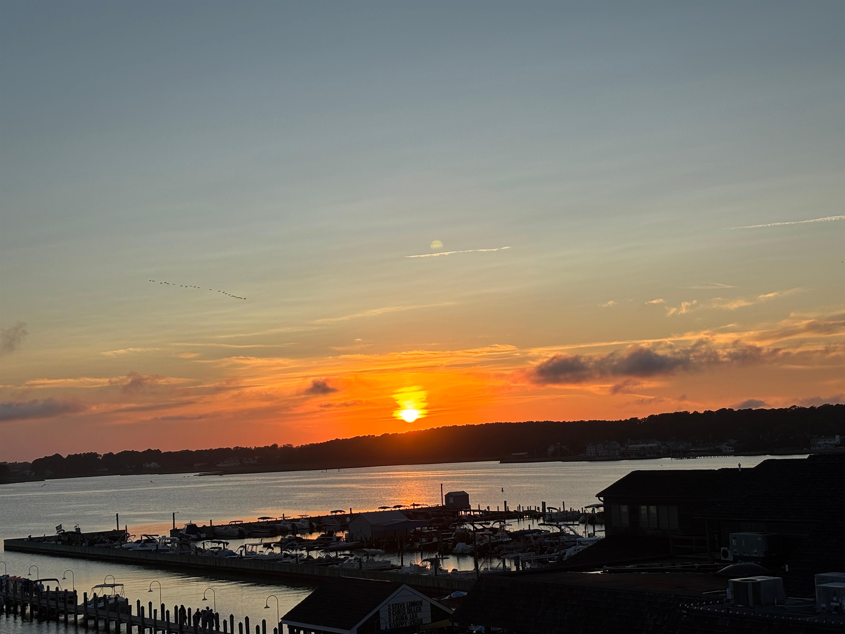 Terry S., Jul 12, 2025