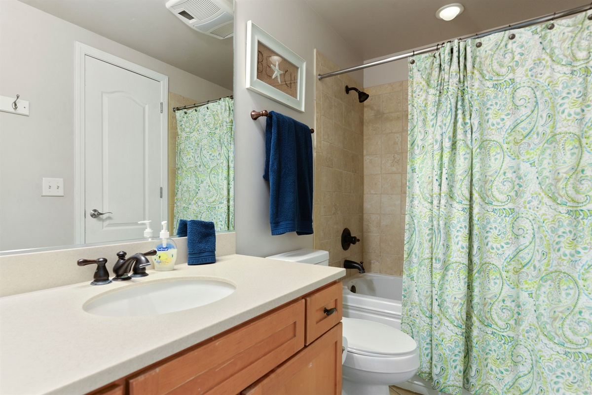 Hall bathroom.