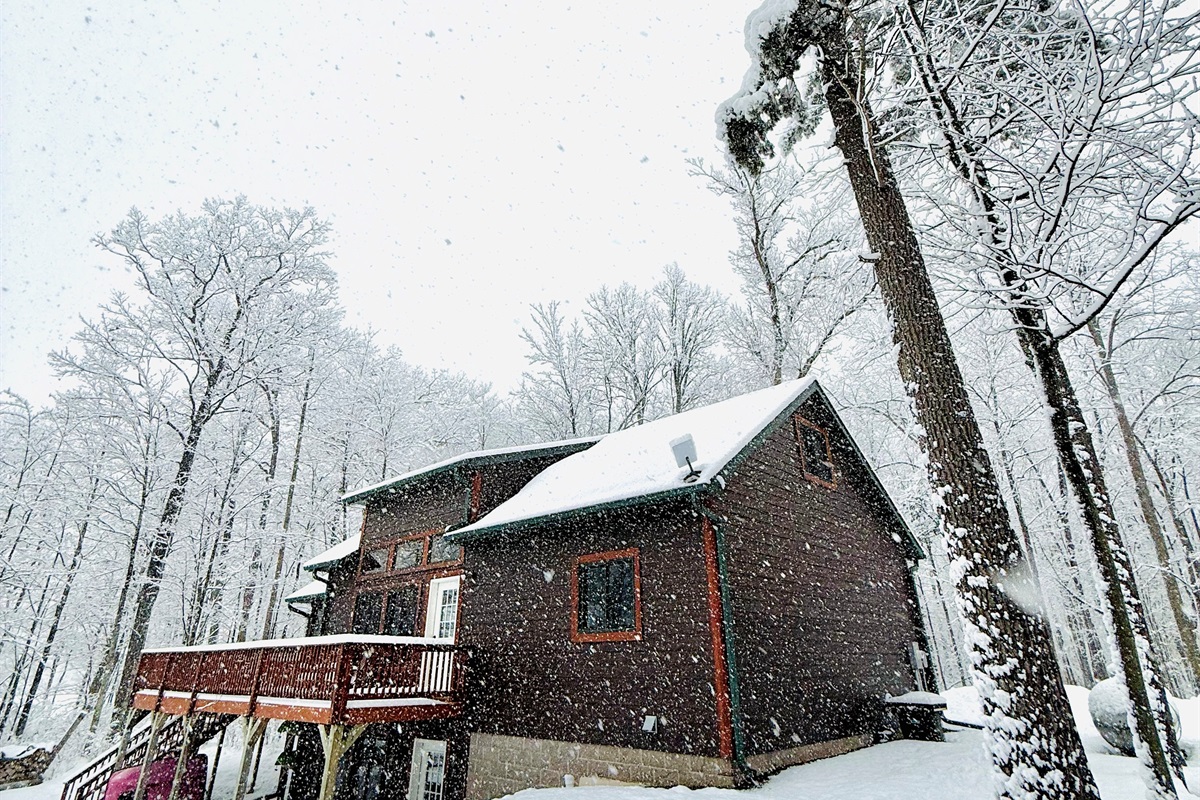 Welcome to Cattail Cabin!