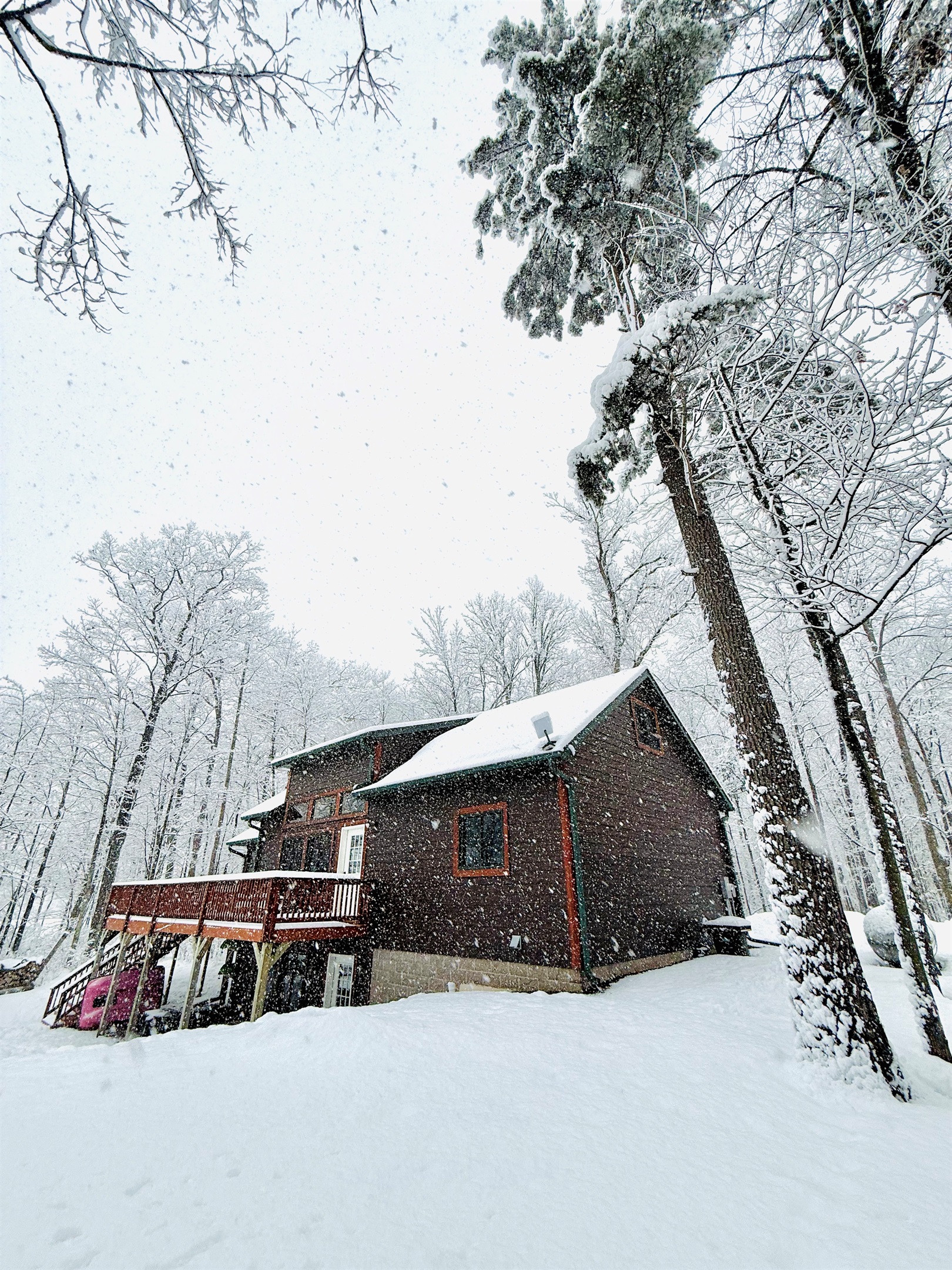 Welcome to Cattail Cabin!