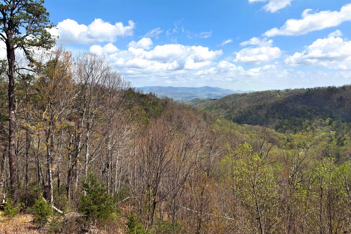 Gorgeous views