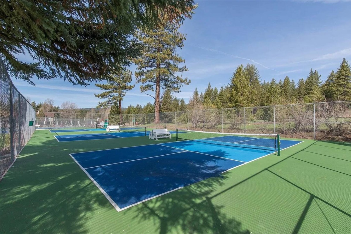 Join the Pickleball craze