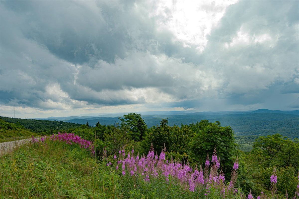 An awesome summer view from Spruce Knob! 