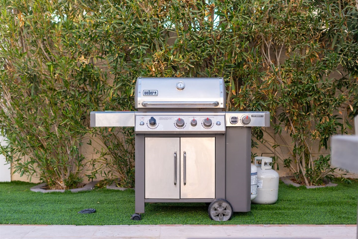 A stainless-steel Weber Genesis grill anchors the outdoor kitchen zone—ideal for barbecuing under sunny skies or starlit evenings.