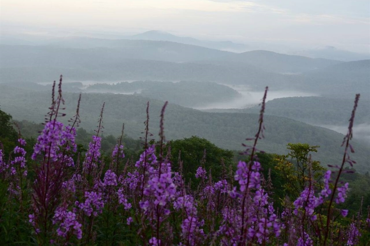 Morning view from Spruce Knob