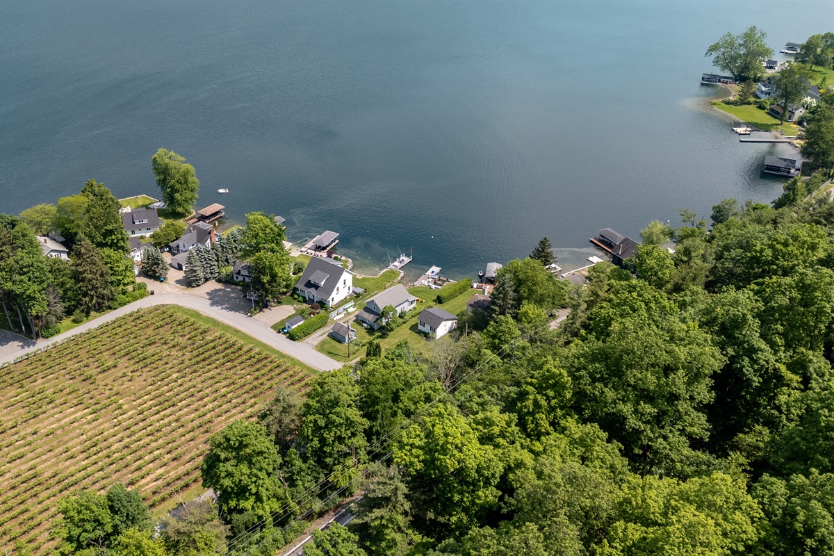 Scenic vineyard rows stretch toward sparkling blue waters, with cozy lakefront homes offering serene views and direct access to the lake.