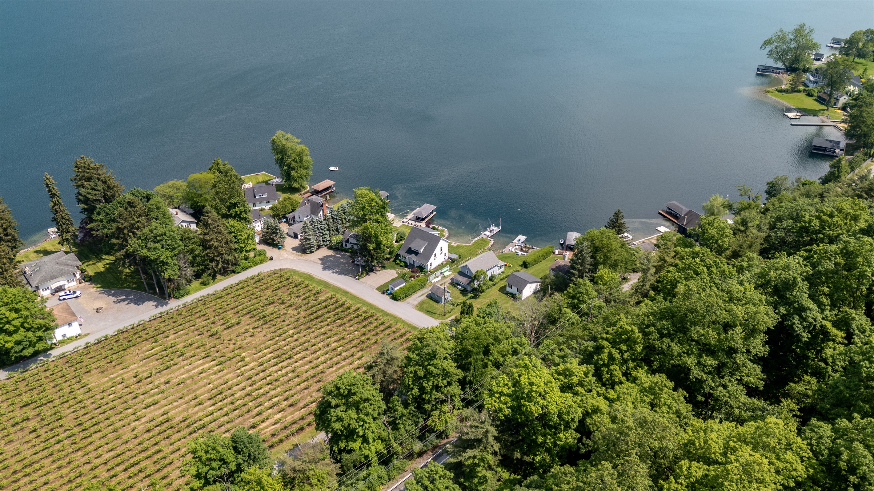 Scenic vineyard rows stretch toward sparkling blue waters, with cozy lakefront homes offering serene views and direct access to the lake.
