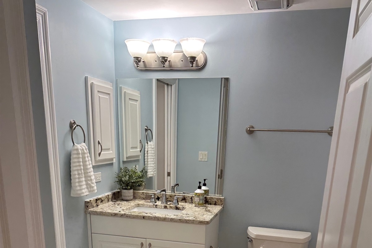 Guest bathroom