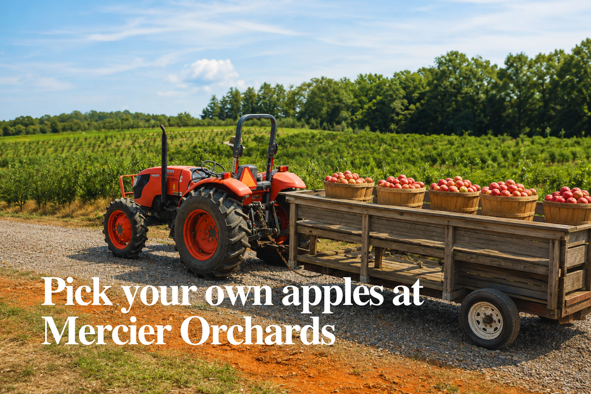 Savor the charm of Mercier Orchards with fresh produce, baked treats, and scenic countryside views. During this season, pick your own apples!