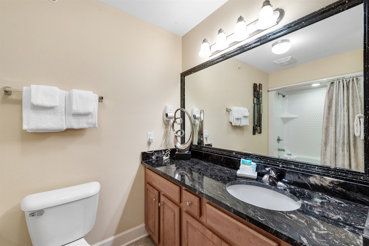 Guest bathroom with tub/shower combo