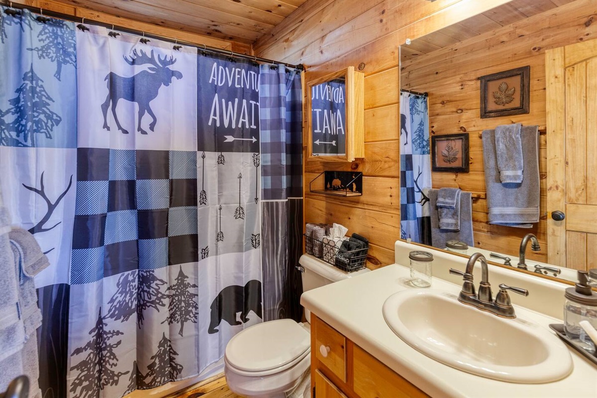 Main floor bathroom. Essentials like hand soap, shampoo, body wash, and conditioner are provided.