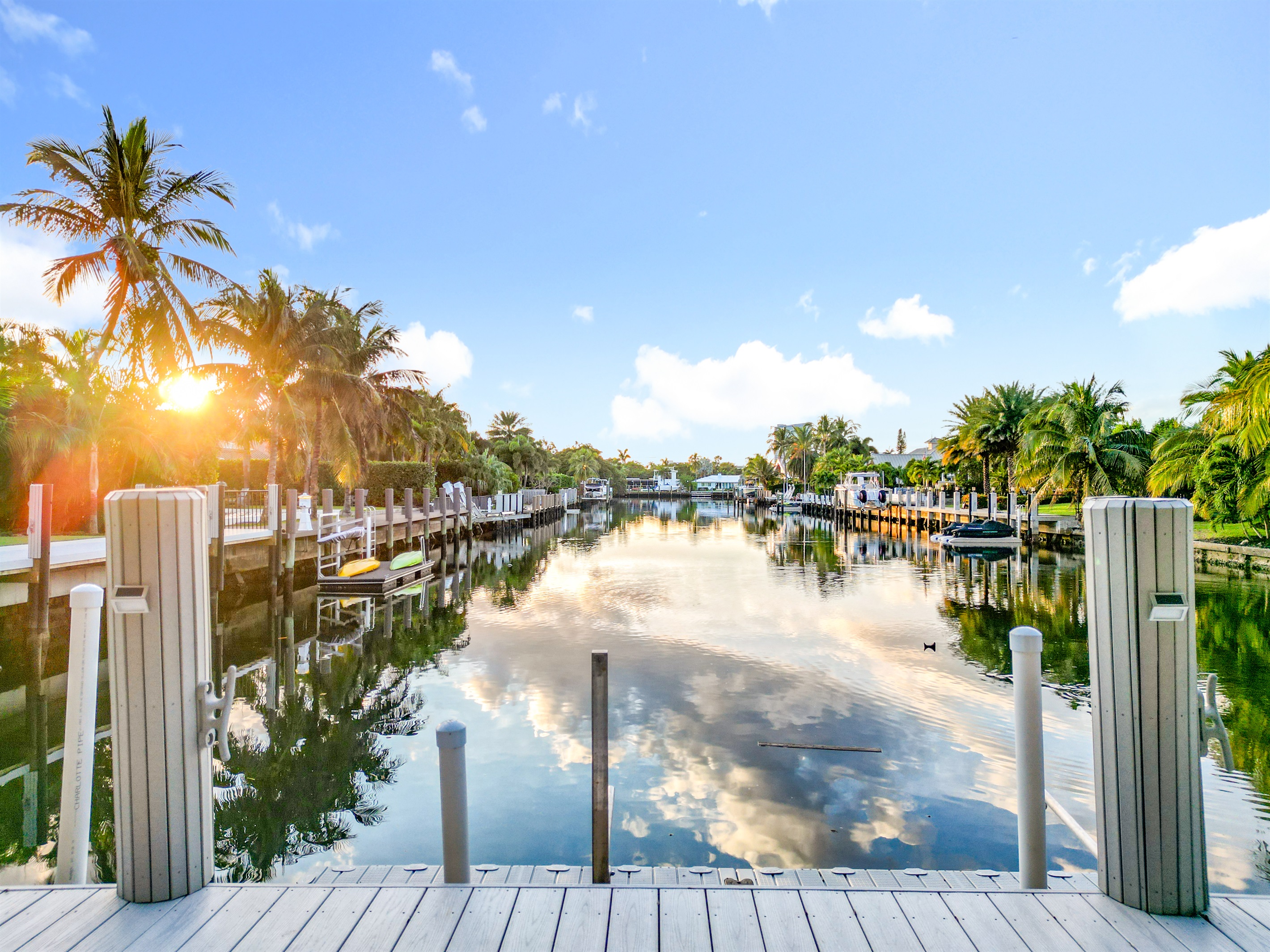There are lots of species of fish just off the dock. 