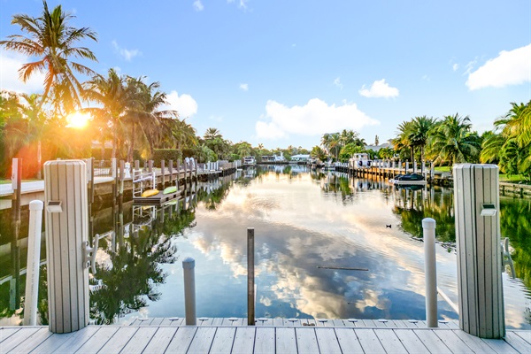 There are lots of species of fish just off the dock. 
