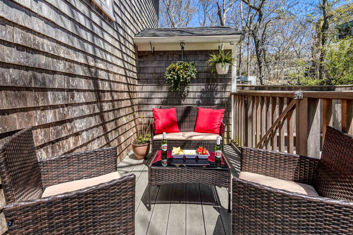 Back deck with BBQ