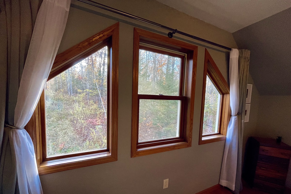 Living room view of the woods out the large 3 windows
