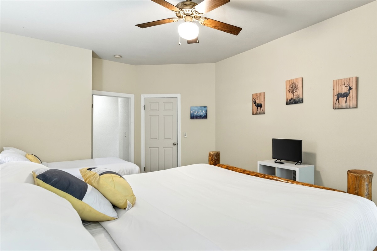 Bedroom 3 features a TV