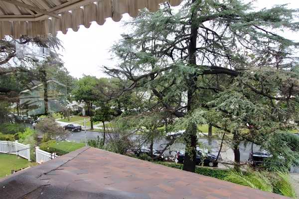 View from family room