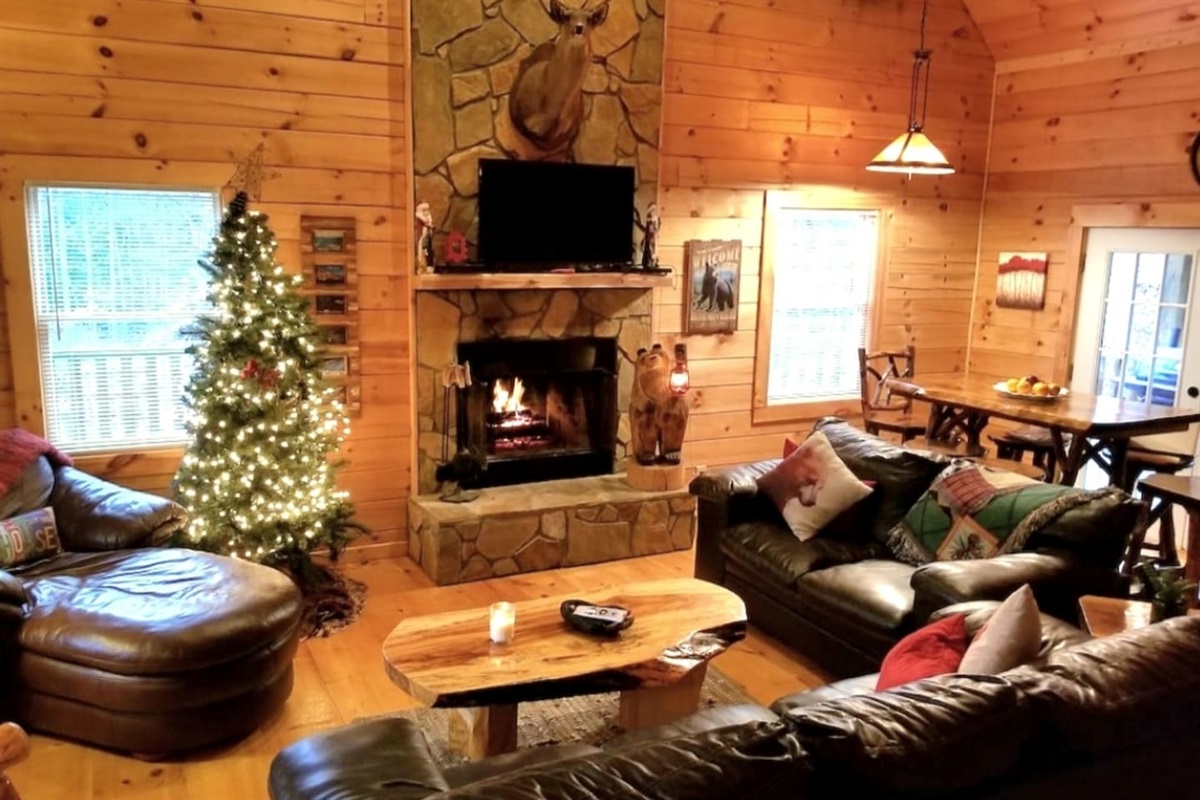 We always decorate for Christmas!