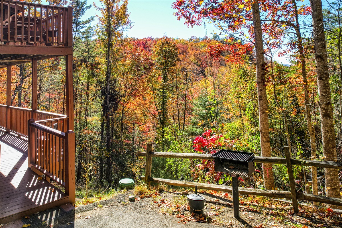 Charcoal grill for you to use overlooking the beautiful trees.