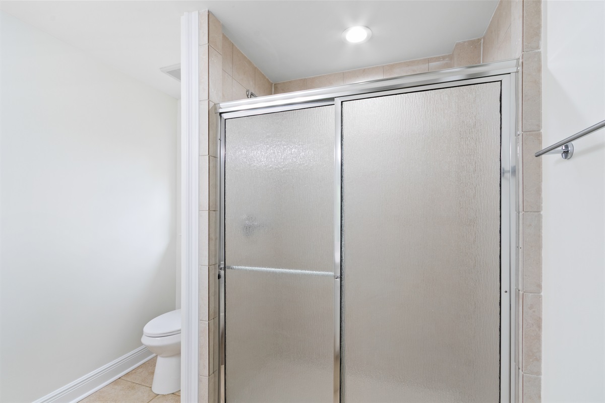 Downstairs Guest Bathroom