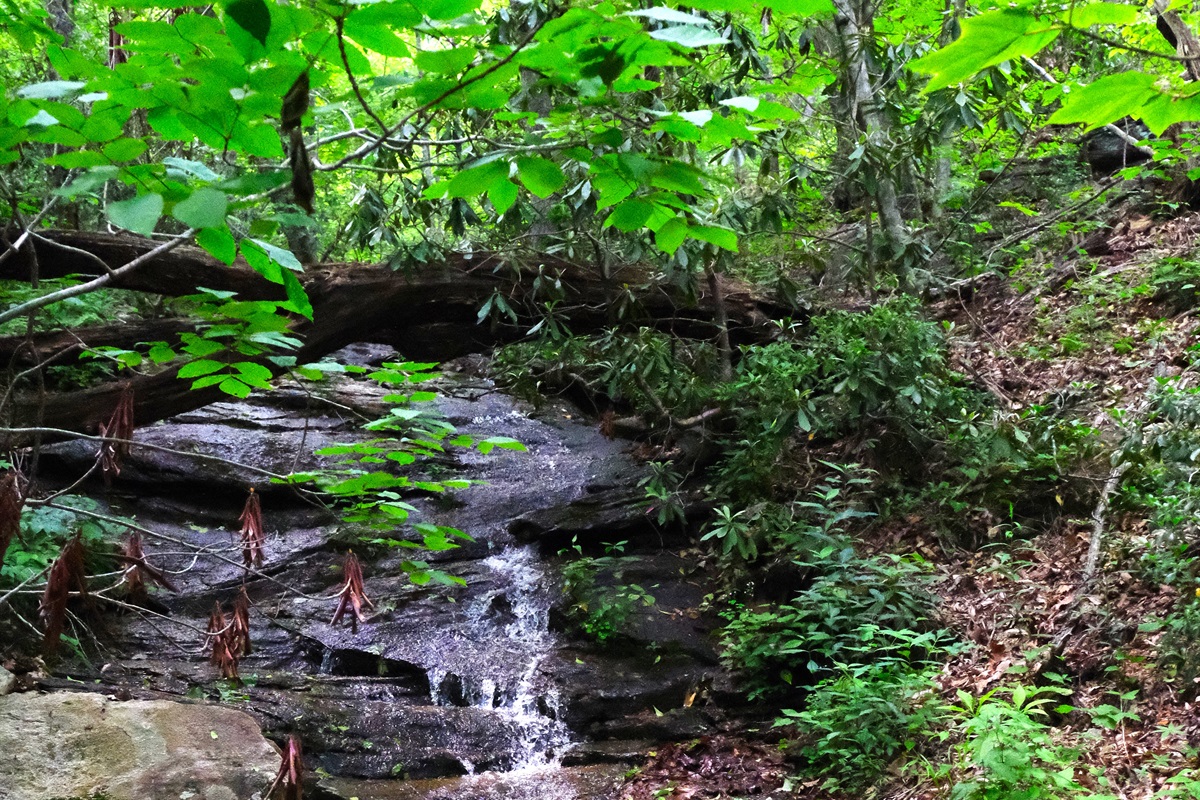 Short Hike to Water Fall