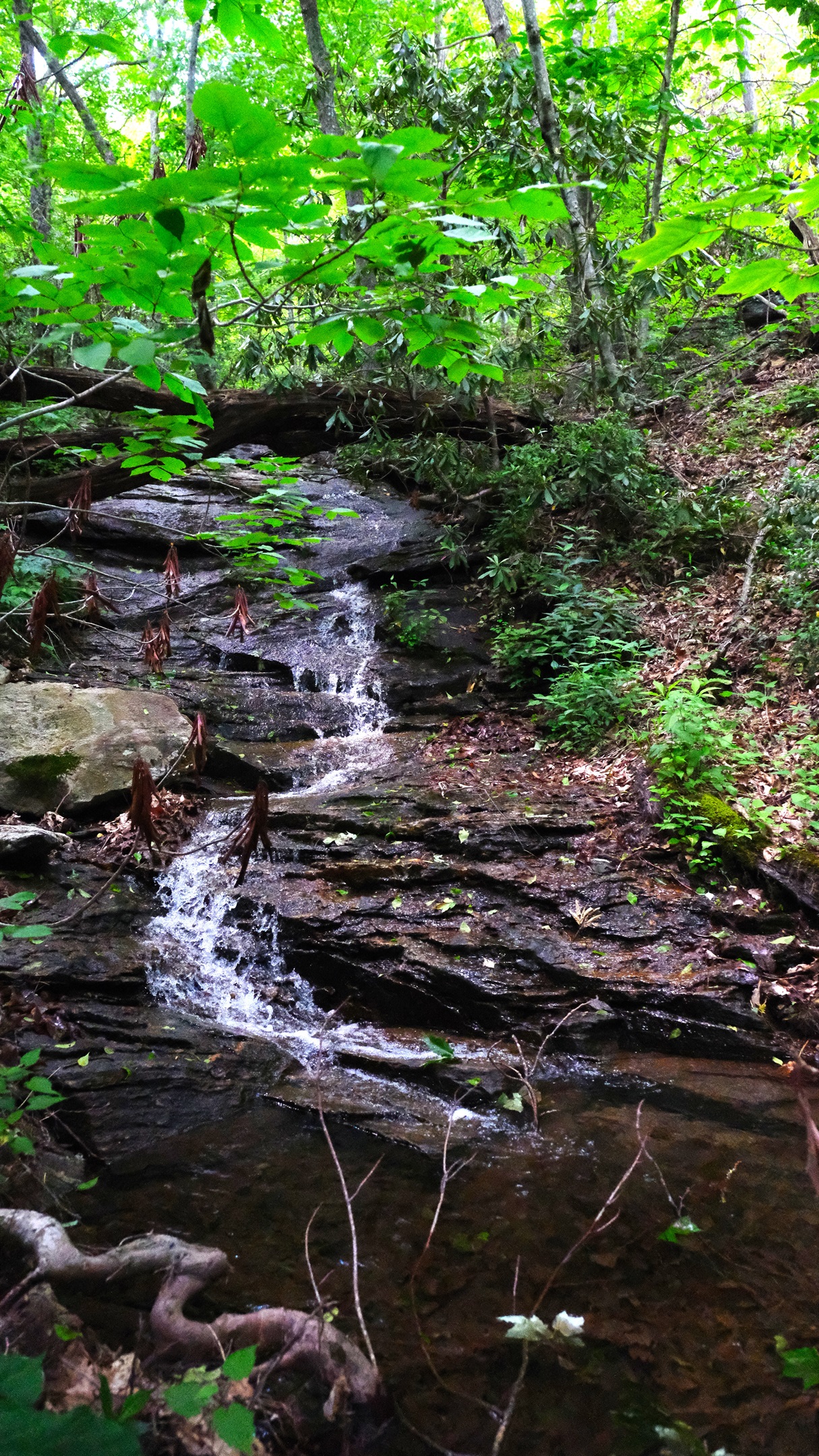 Short Hike to Water Fall