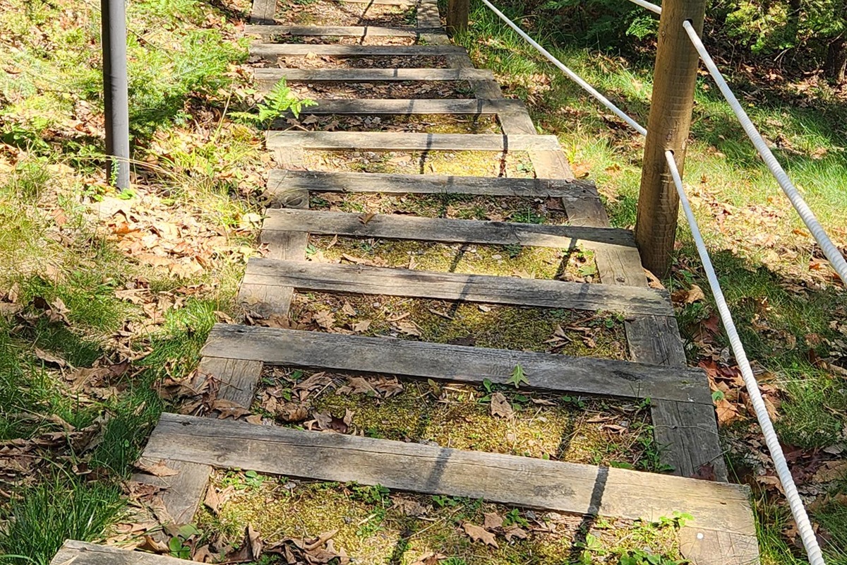Steps to Dock