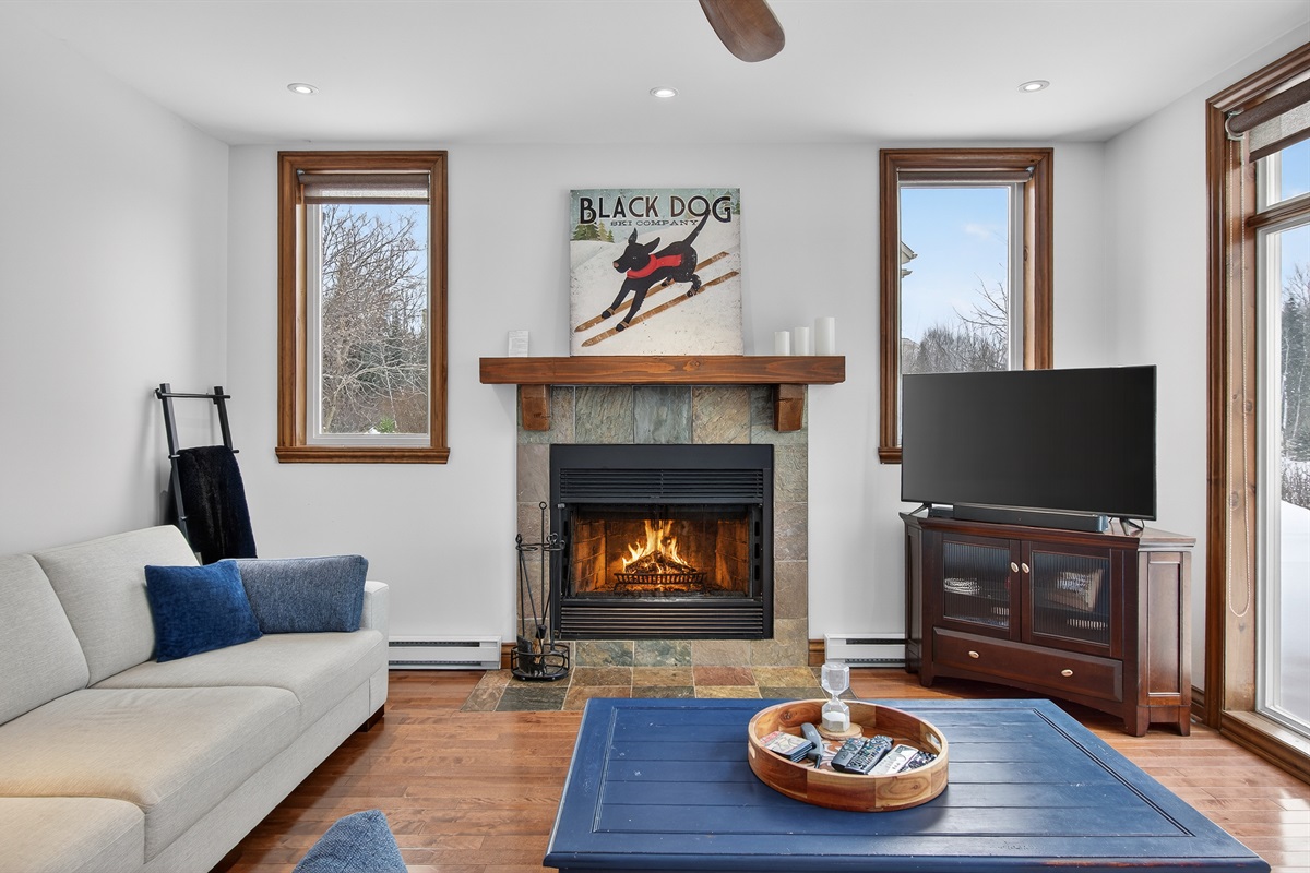 BlackDog comfort with a roaring fire