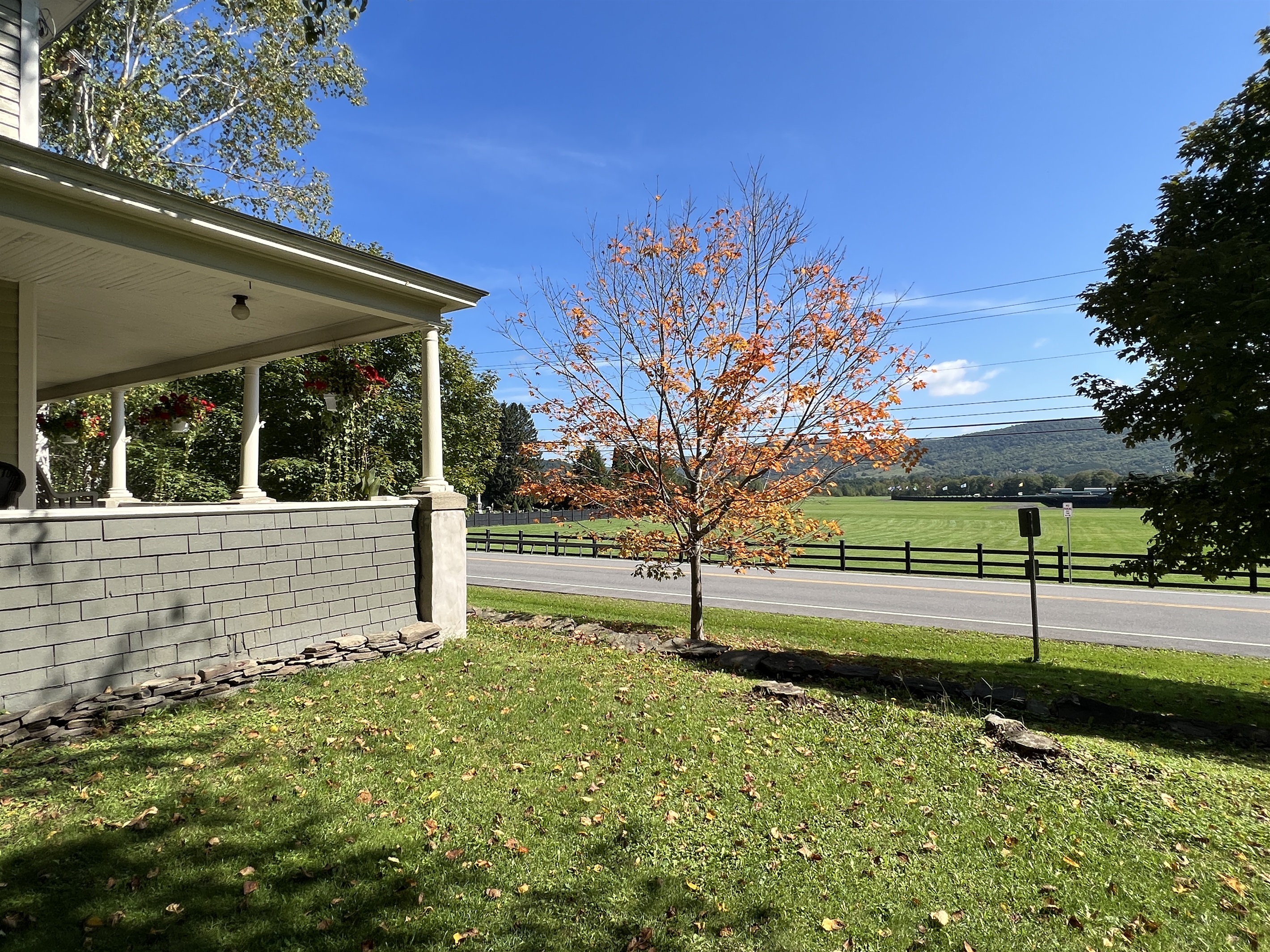Terrace Lawn across from Dreams Park