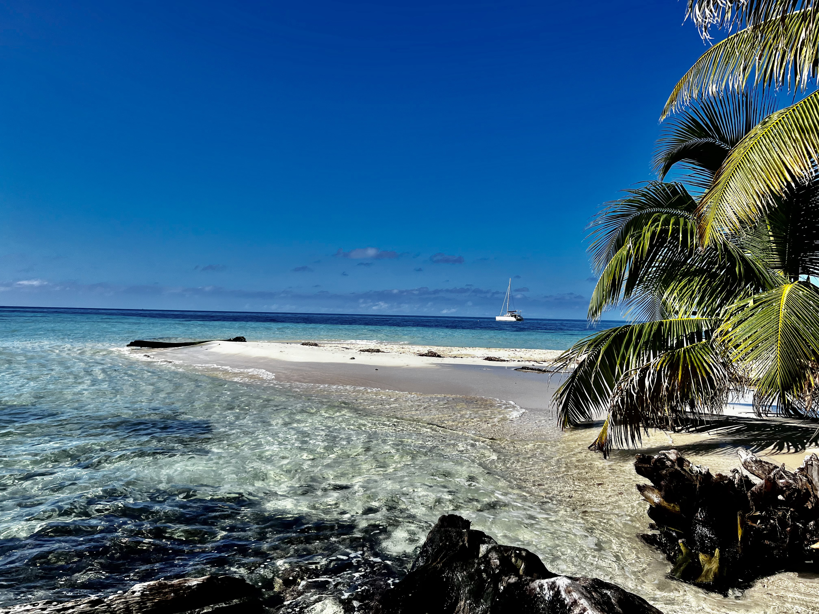 Caye Hopping and Snorkeling Adventure