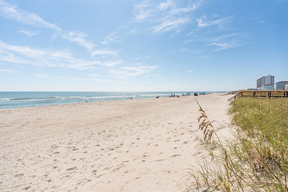 Beach and ocean!
