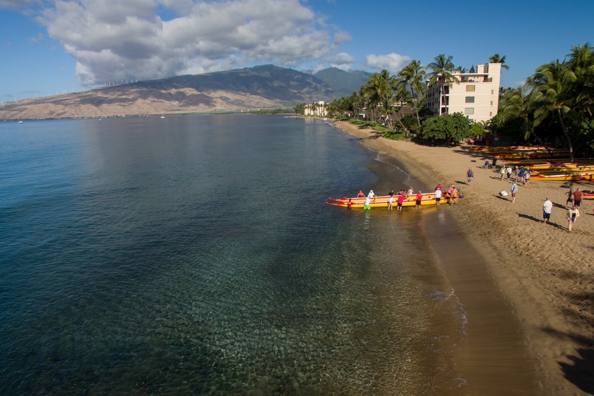There are 3 outrigger canoe clubs within a short walk, several allow guest paddlers (for a fee)