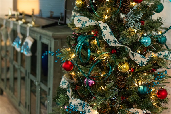 Christmas tree decorated with Naples Botanic Garden ornaments