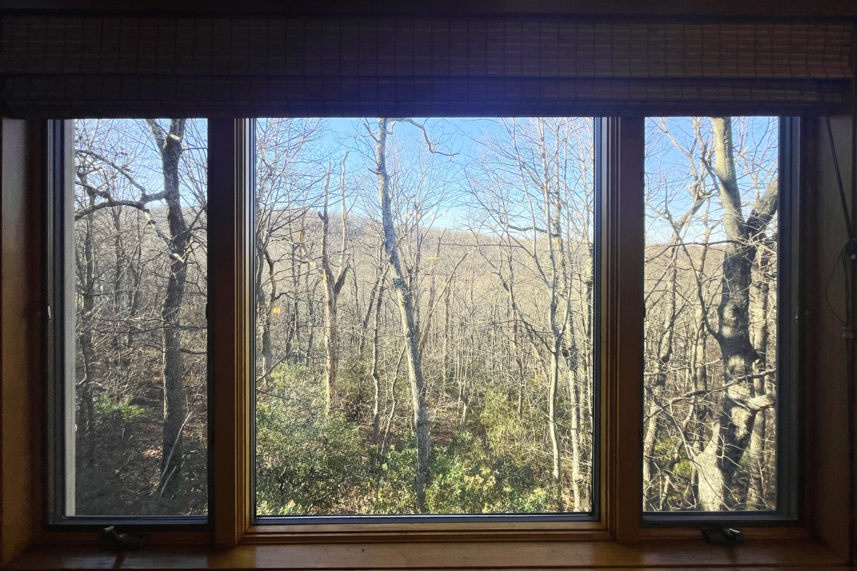 Bedroom 2 Forest View