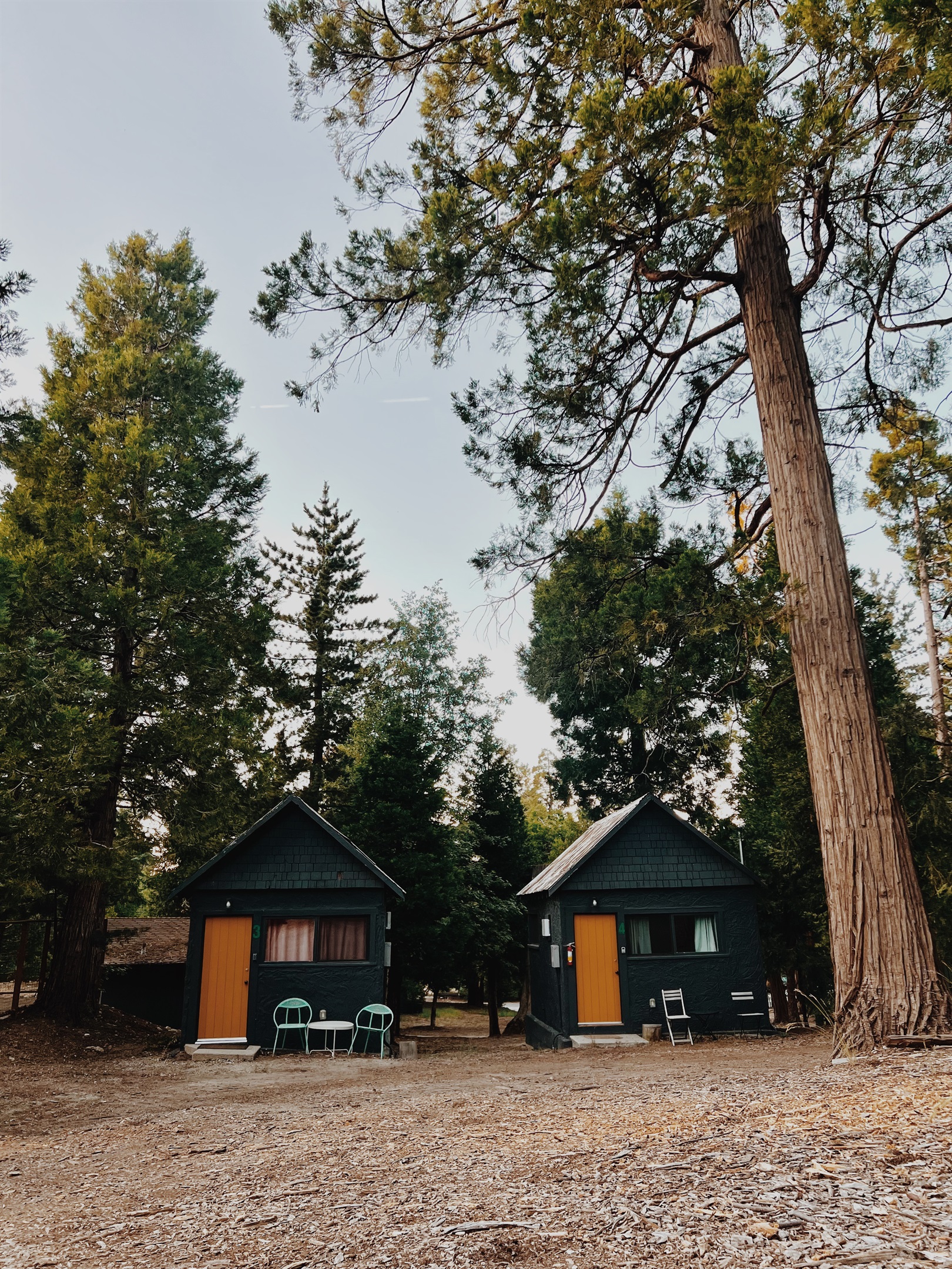 Cabin #3 - The Perch at Twin Peaks 2