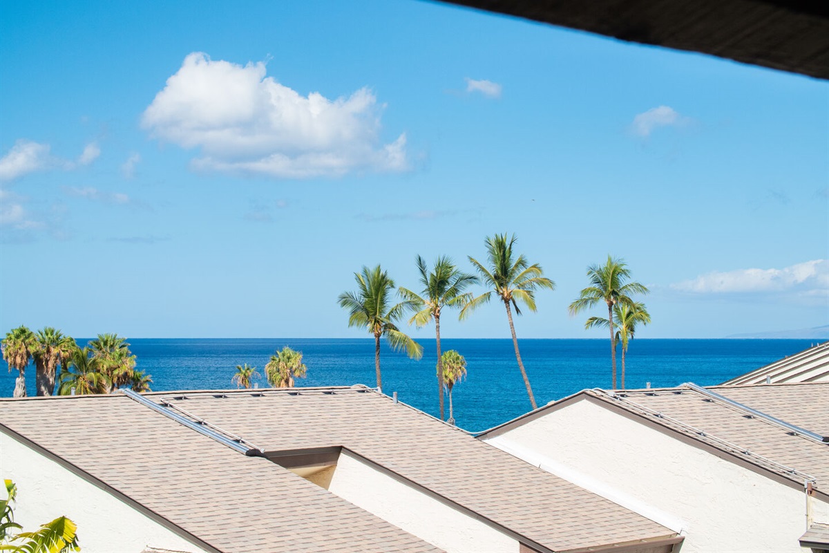 Ocean Views