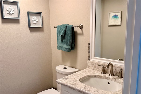 Downstairs powder room. Storage closet has Instant Pot, iron for clothes, watr for iron, extra toilet paper, and first aid kit.