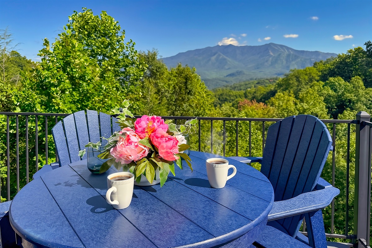 What a view for morning coffee! Mt. Leconte and the National Park makes a beautiful backdrop.