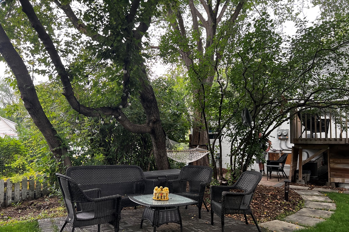 Mature Elm Trees Create a Peaceful, Private Backyard Setting