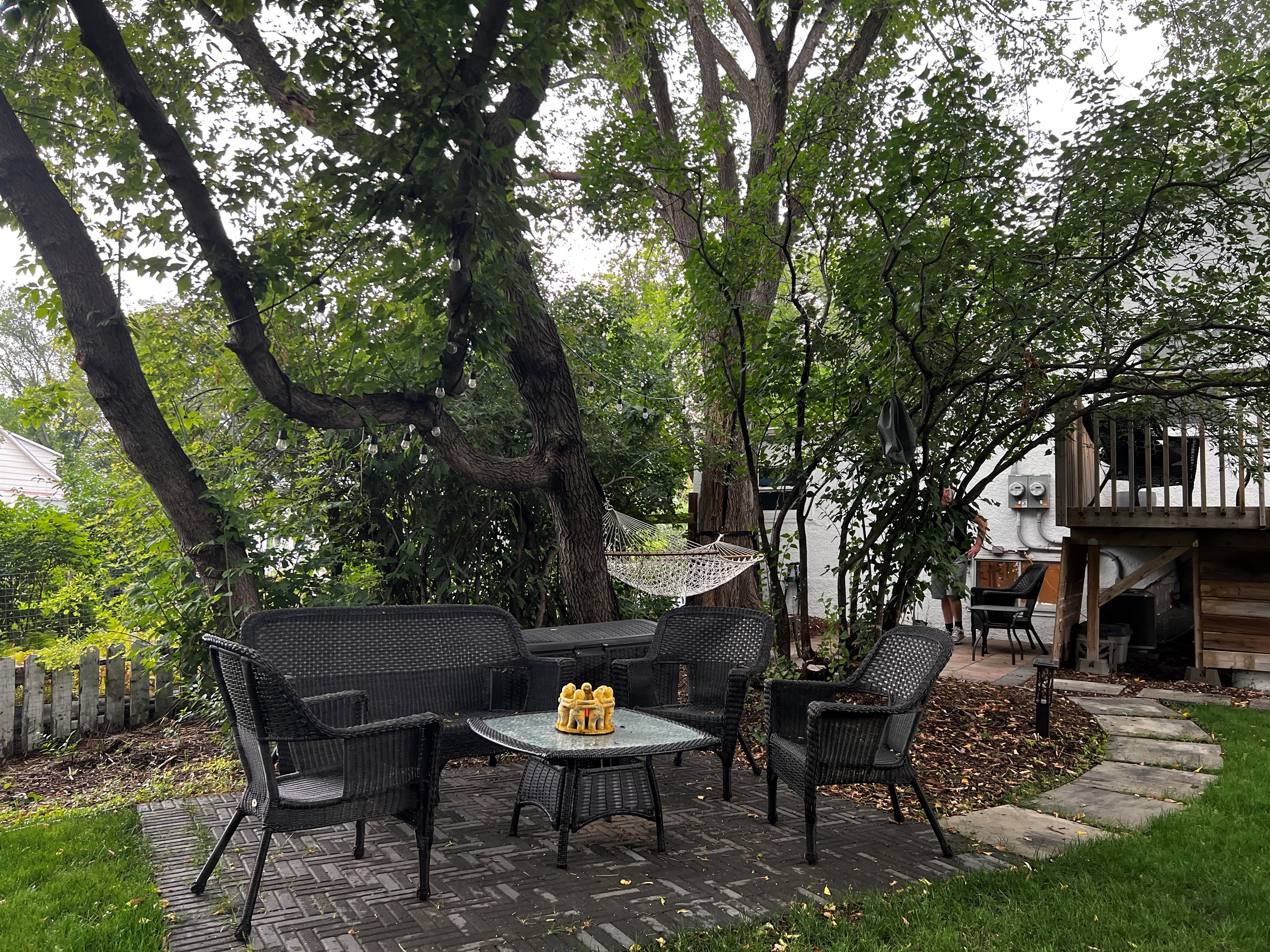 Mature Elm Trees Create a Peaceful, Private Backyard Setting