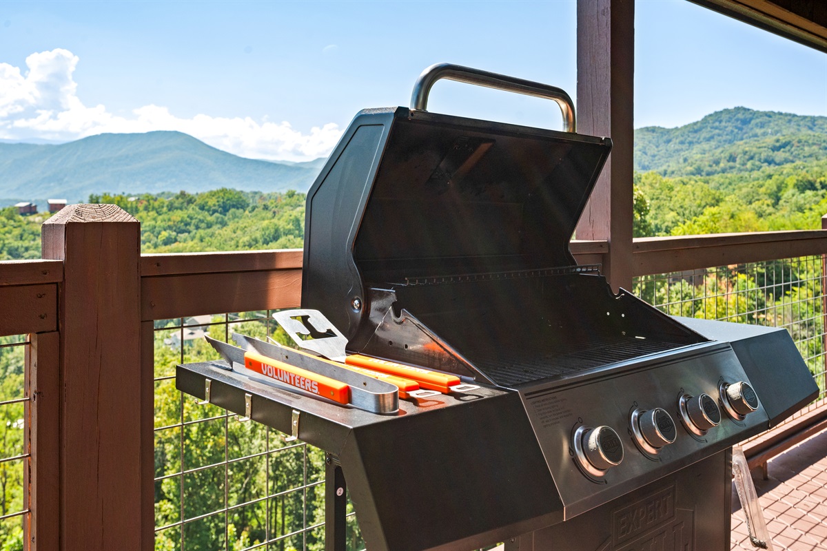 Gas Grill