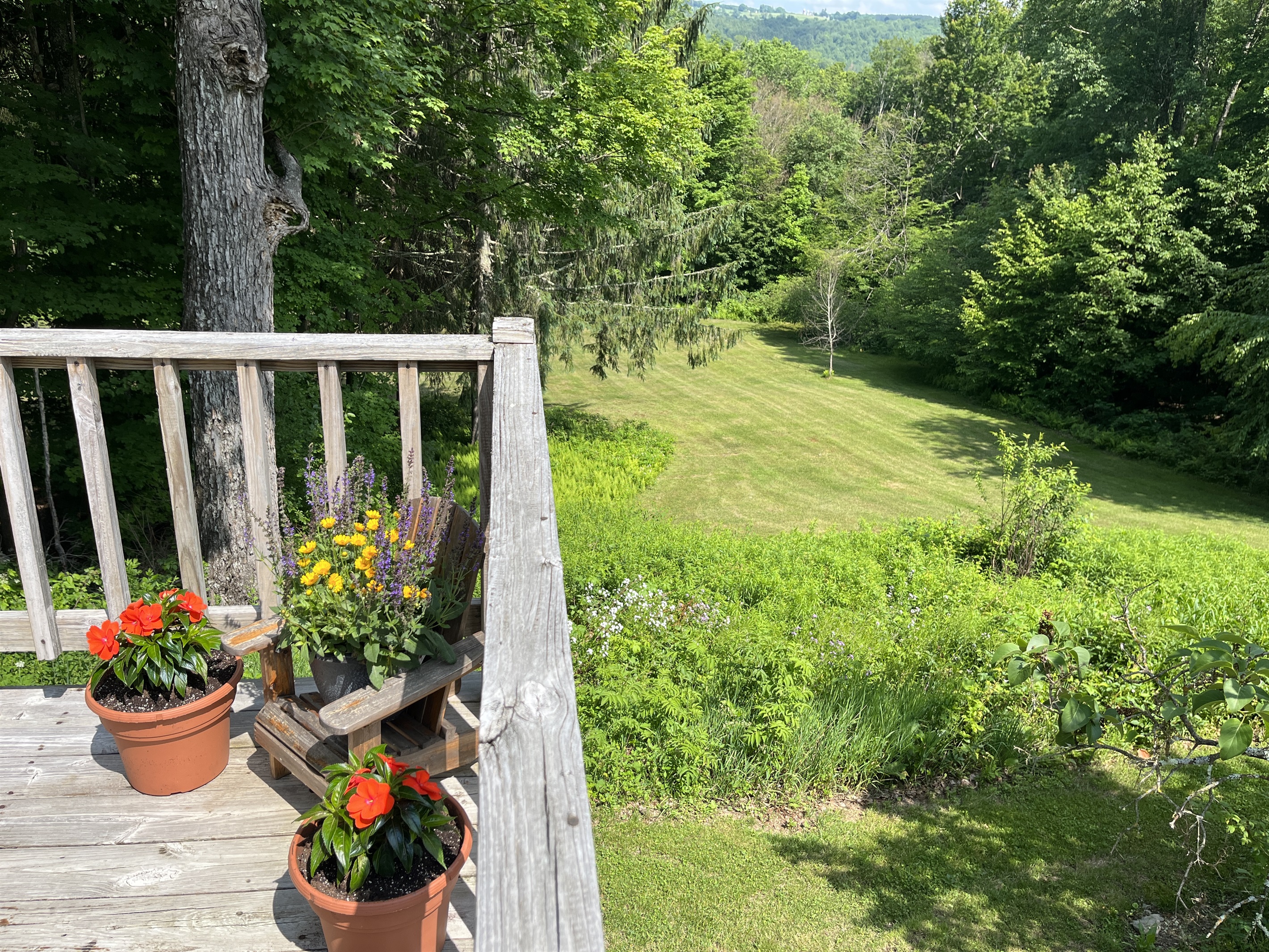 Rear deck with a view and large side/back yard
