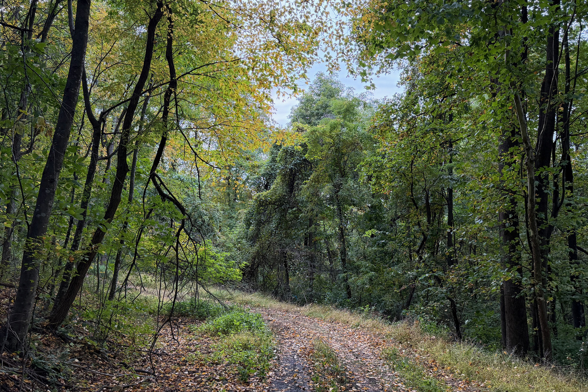 Numerous trails are on the 26 acre property, which you are free to use. We do have many wild animals to enjoy watching, but do take care and be safe. Read through the Guest Welcome Book about safety before you venture off.