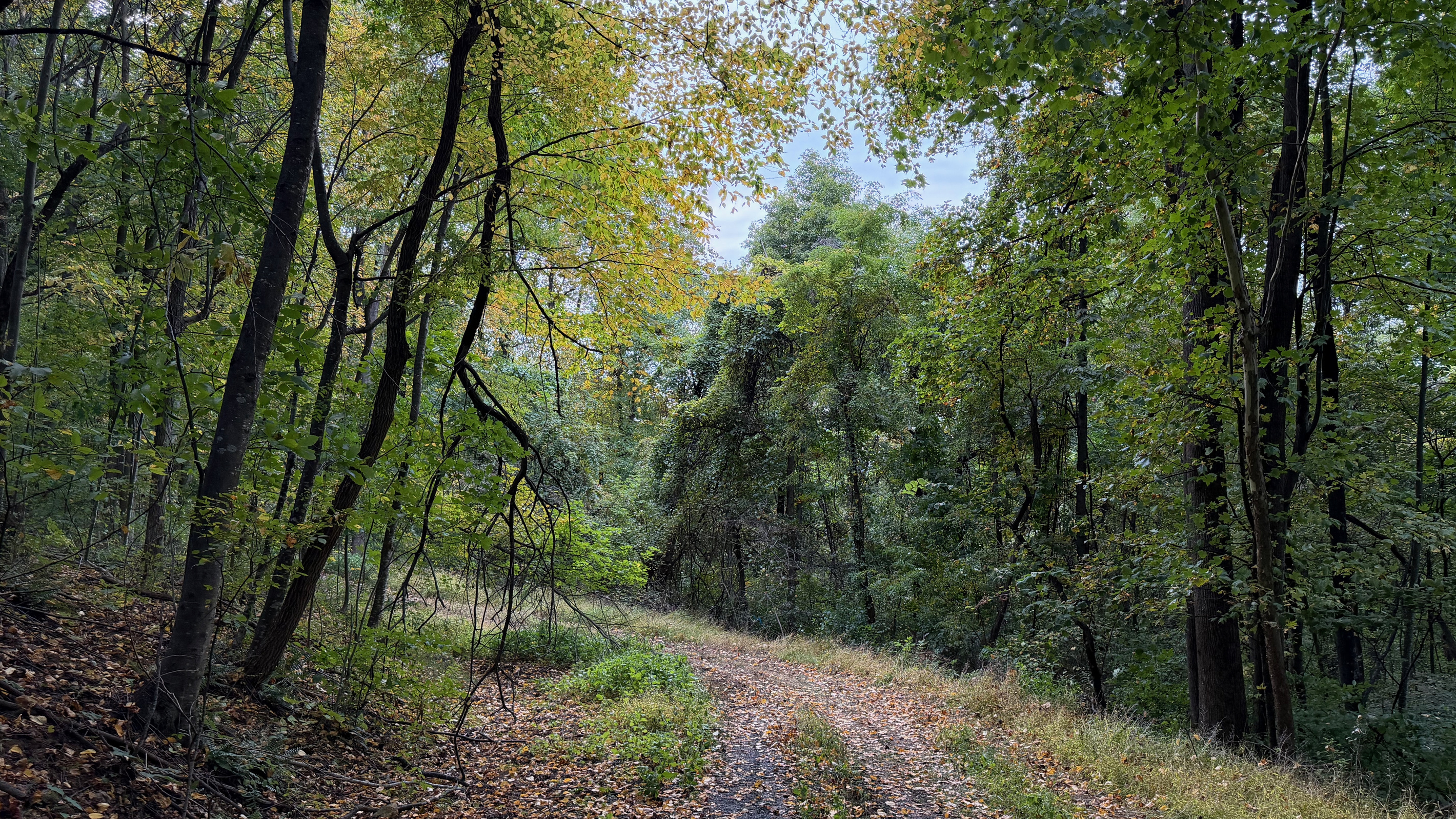 Numerous trails are on the 26 acre property, which you are free to use. We do have many wild animals to enjoy watching, but do take care and be safe. Read through the Guest Welcome Book about safety before you venture off.