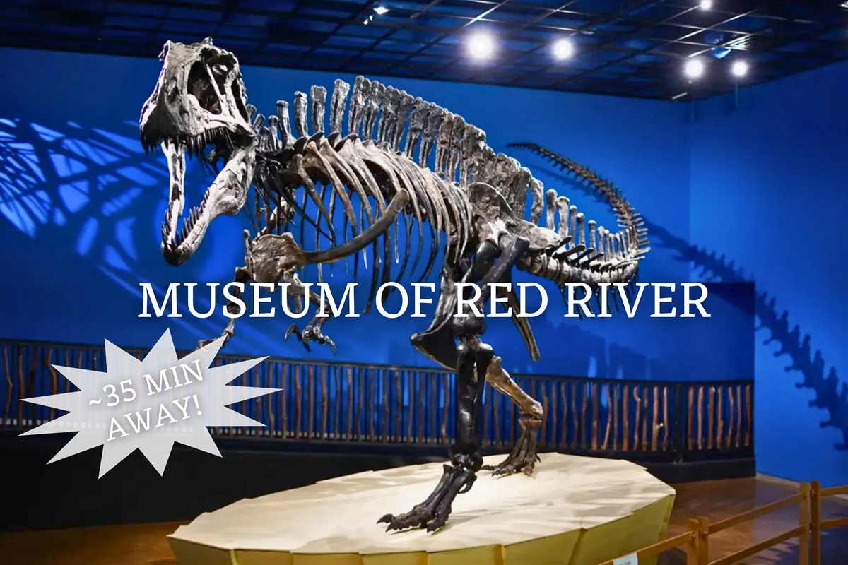 Step into prehistoric times at the Museum of the Red River, home to fascinating fossils and engaging exhibits.