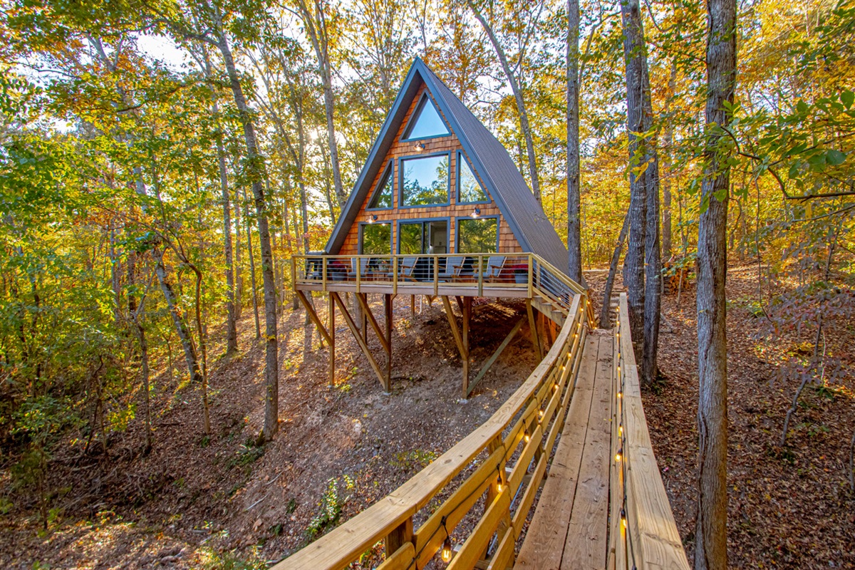 The Bridge House Tree Loft