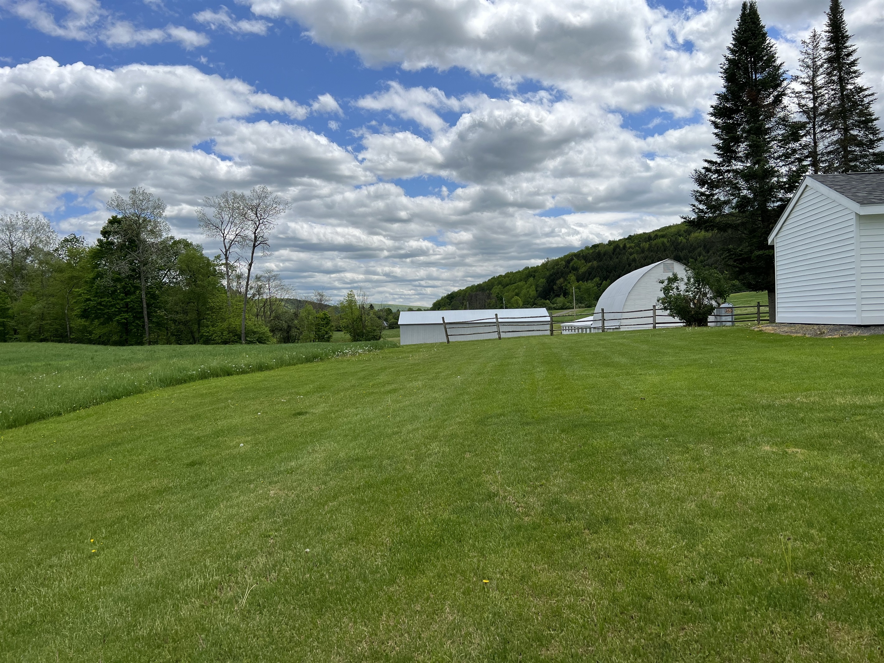 Day House - back yard